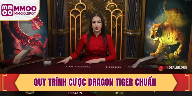 Quy trình cược Dragon Tiger chuẩn 